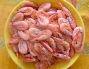 Indian White shrimp